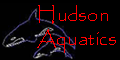 Hudson Aquatics website